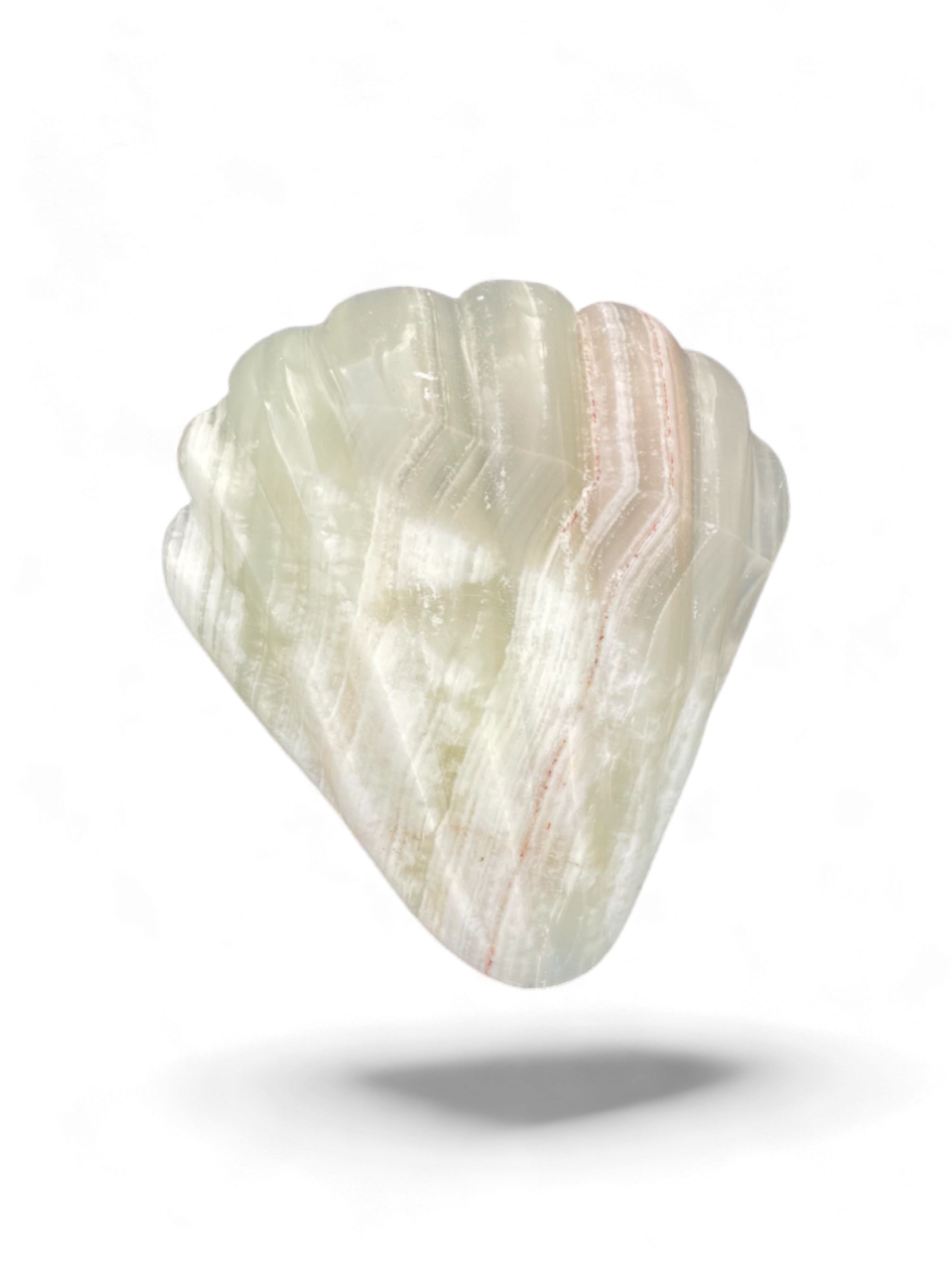 Green Onyx Seashells